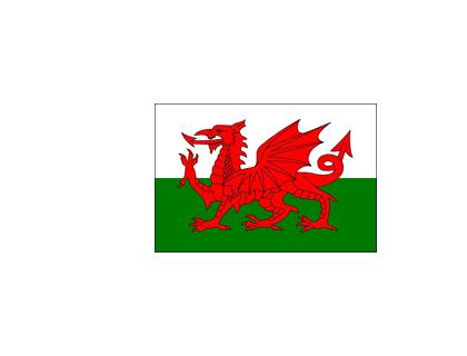 Mid Wales Trail Riders Winter Challenge