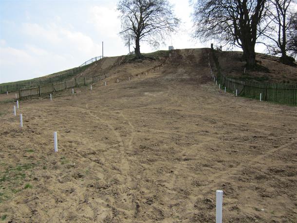 All Systems go for Lyng