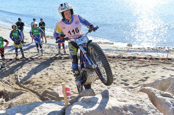 Fox by name and nature