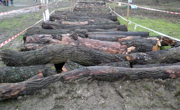 Preparation Already in Place for the Third Extreme Enduro at Foxborough on the 2nd January