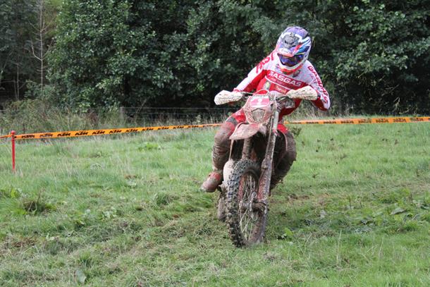 BEC Final Heads to the Natterjack