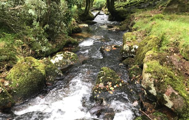 Trial GB Entries available