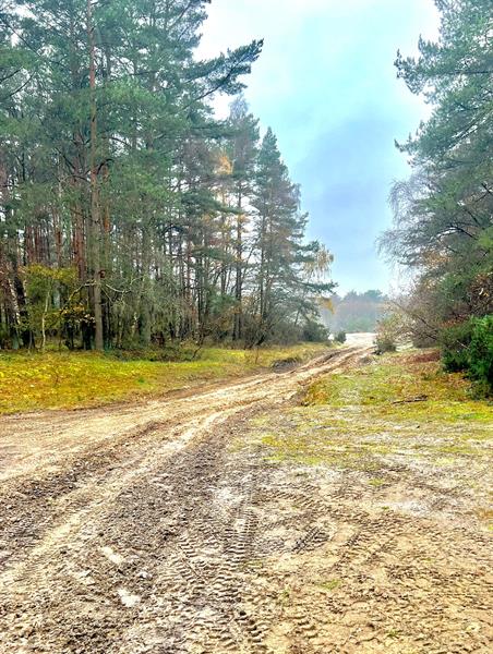 Michelin MX Nationals & Revo ACU British Motocross Championship join forces for NEW British MX Track