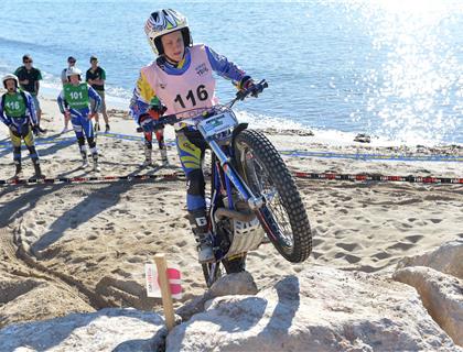 Fox by name and nature