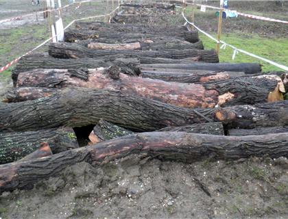 Preparation Already in Place for the Third Extreme Enduro at Foxborough on the 2nd January