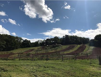 All roads lead to Pontrilas for the St Blazey Premier MX