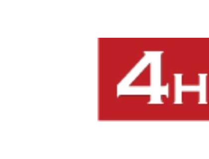 4 Hire at Ocean Motor Village Continue their Support at the Colas Billown Races