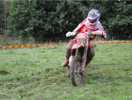 BEC Final Heads to the Natterjack