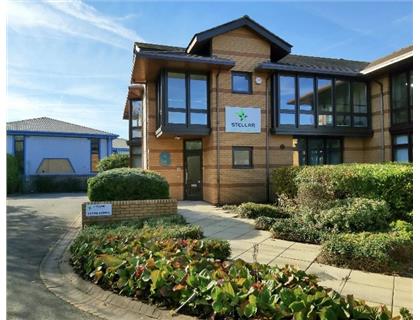 Stellar Despatch Extends Bantasia backing