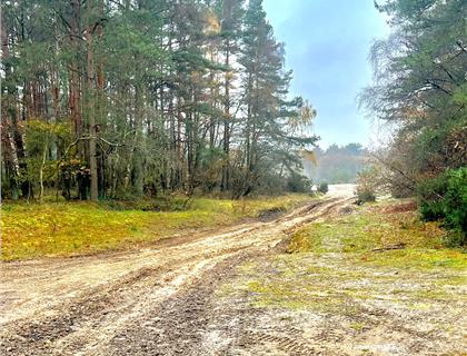 Michelin MX Nationals & Revo ACU British Motocross Championship join forces for NEW British MX Track