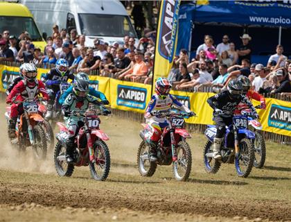 Apico 2-Stroke Festival Rings The Changes