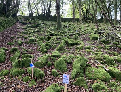 Torridge Club to host Round 6 of South Western Trials Championships