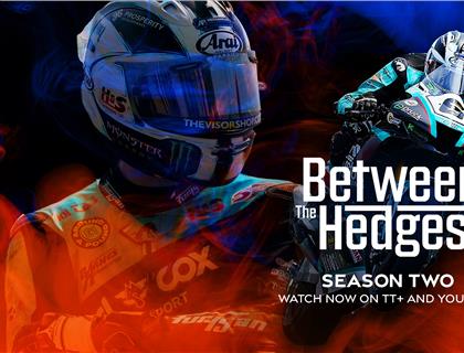 Between The Hedges: Season 2 – Out Now