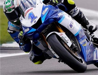 BLACK FRIDAY MEGA DEAL - REACTIVE PARTS