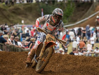 British Championship Takes to FatCat After Simpsons Success